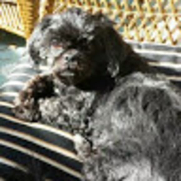 Meet your Posher, Mary - Picture 1 of 1